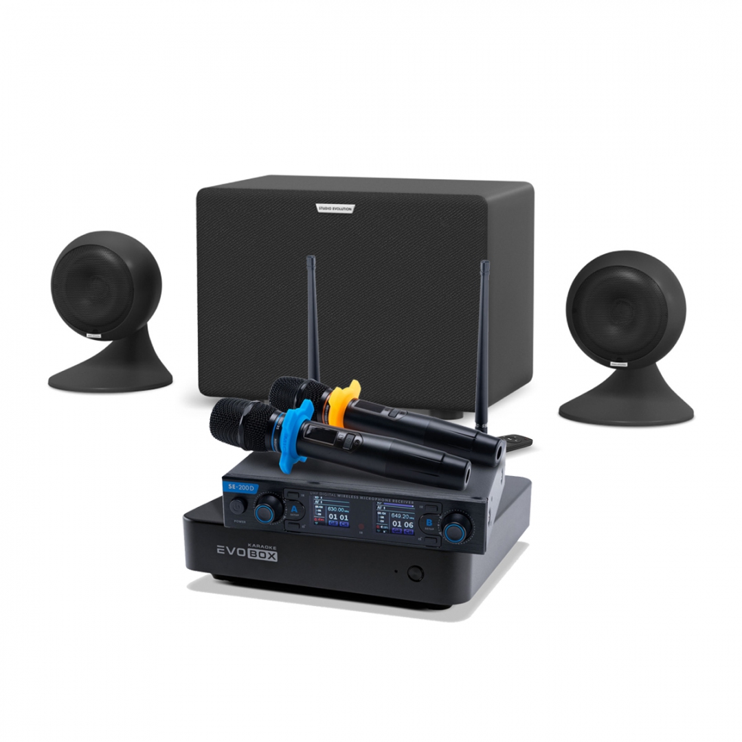 караоке-комплект EVOBOX + EvoSound Sphere 2.1 в Кумертау