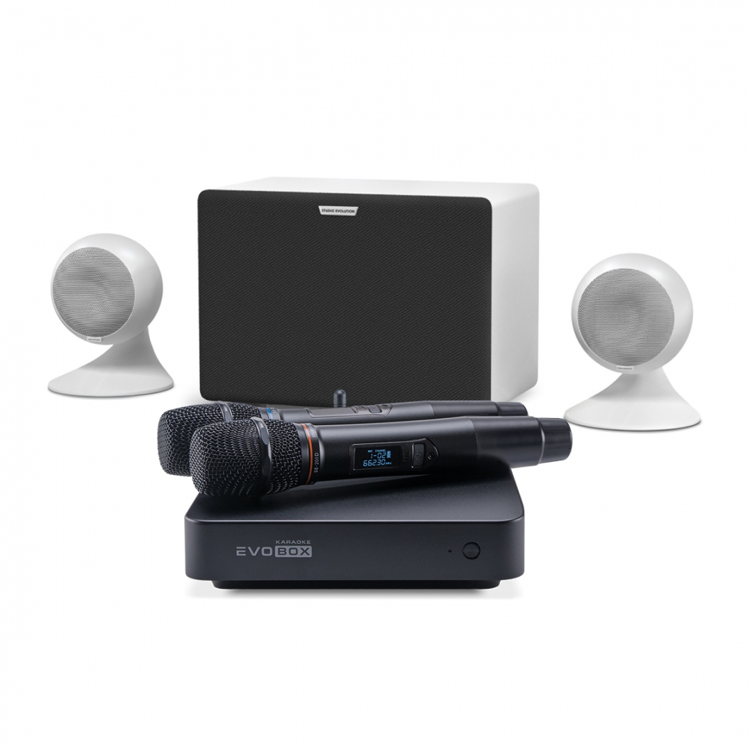 караоке-комплект EVOBOX Classic + EvoSound Sphere 2.1 в Кумертау