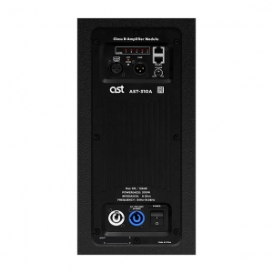 Активная акустическая система AST-310A в Кумертау