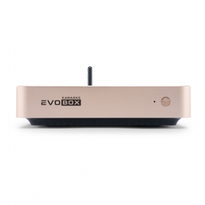EVOBOX Plus караоке-система для дома в Кумертау